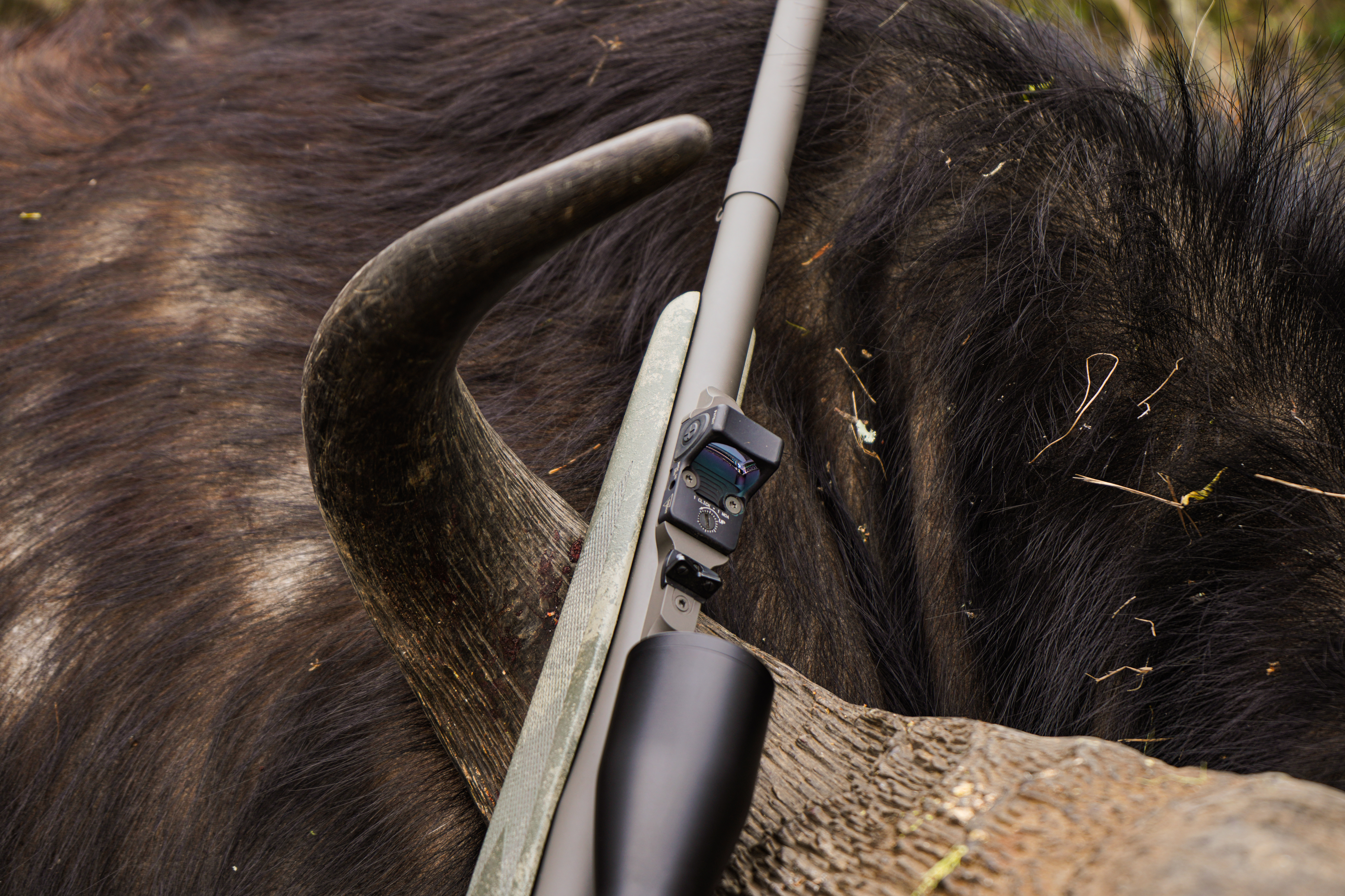 Alternative banner alt