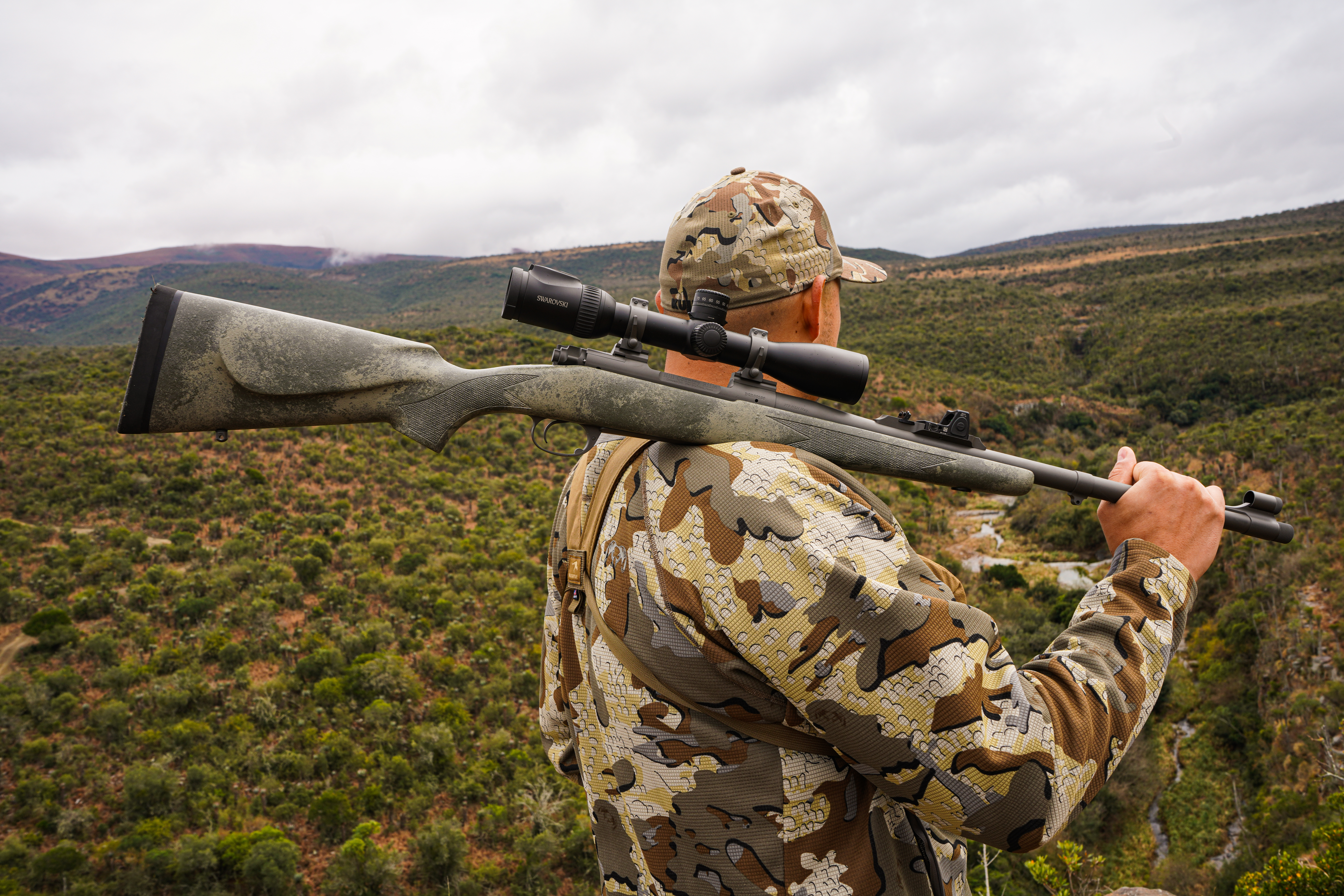 Alternative banner alt