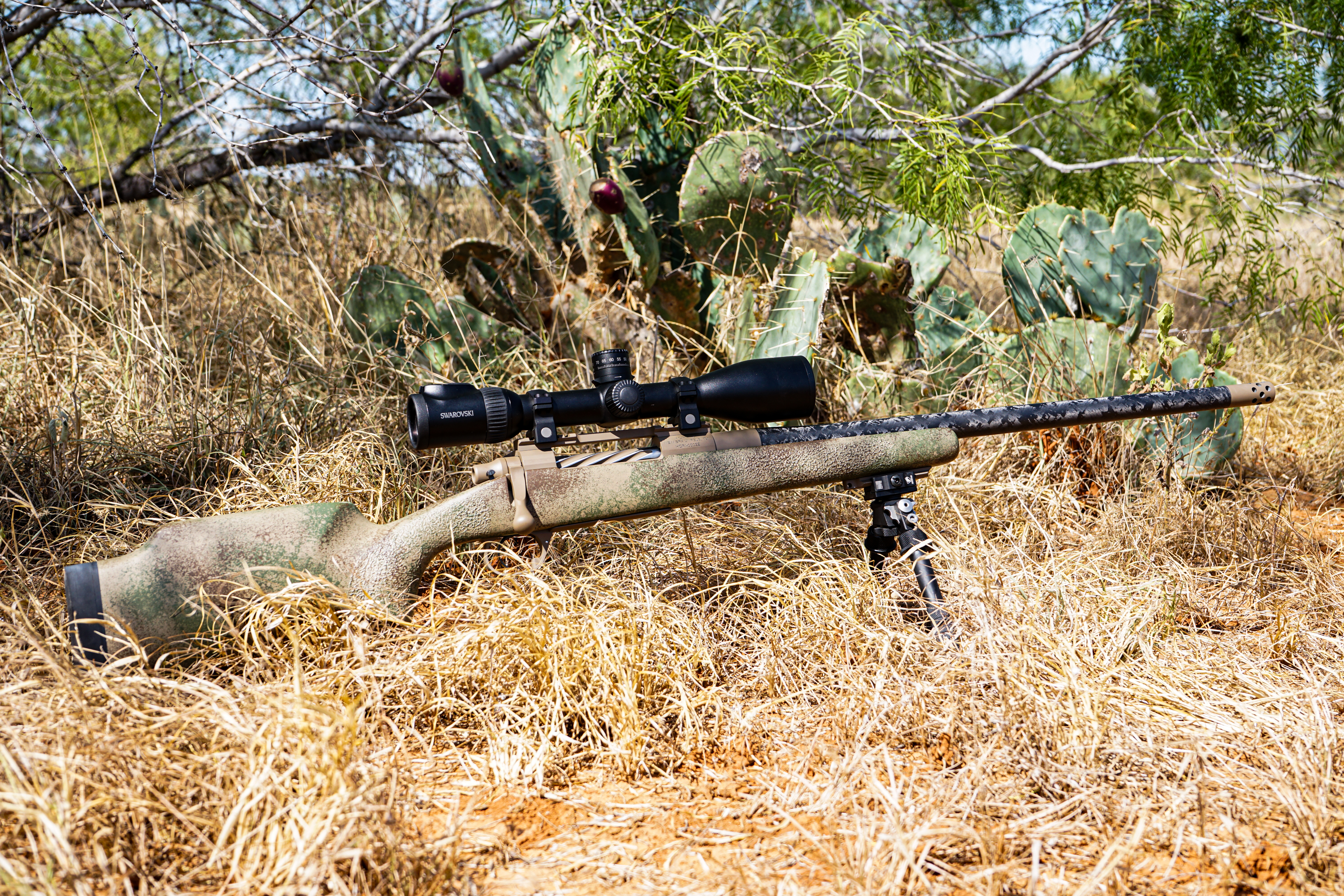 Alternative banner alt